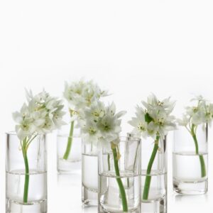 4in Tall Clear Glass Cylinder, Set of 4