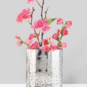 7.5in Tall Antique Silver Glass Cylinder