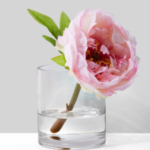 4in Tall Clear Glass Cylinder Vase