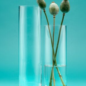 Slim Glass Cylinders