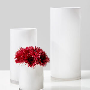 White Cylinder Glass Vases